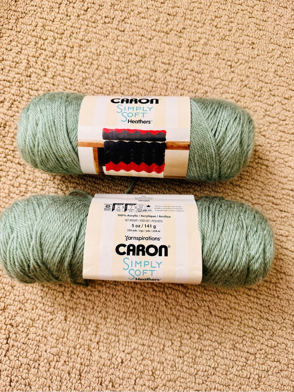 Caron Simply Soft Heathers Pale Green Acrylic Yarn - 2 Skeins